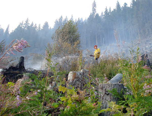 Nakimu firefighter Scott Devlin raises his head to watch a passing aircraft as he hoses down a hot spot at French Creek. Photo courtesy of Ben Parsons