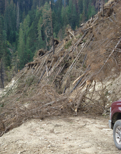 Getting to the scene of a forest fire can sometimes be a challenge. Nakimu firefighters foudn their way along a Forest Service Road blocked by wind-thrown trees they then had to clear out of the way. Photo courtesy of Ben Parsons