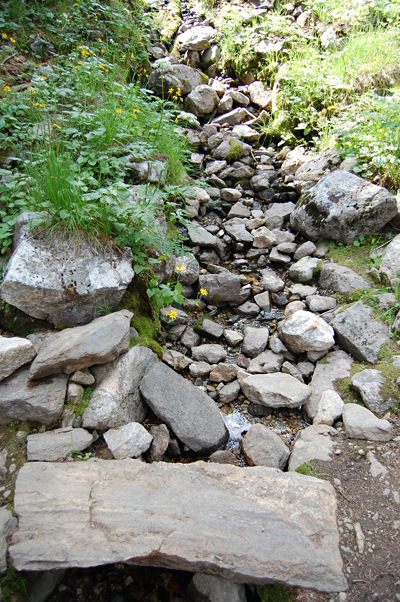 Water trickles beneath a stone slab along the trail. David F. Rooney photo