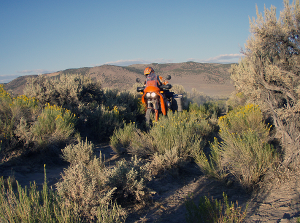 Hamilton and DeBlock were rarely on anything resembling a real road. Much of their trip was along trails like this one. Photo courtesy of Rich Hamilton