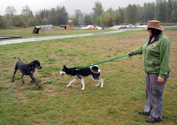 Kathryn Horkley and her dog meet another pet at Kovach Park. Horley has organized a special event, Just 4 Dogs, that will be held on the site of the old King Eddy Hotel behind City Hall during the New Moon Over Revelstoke festival. David F. Rooney photo