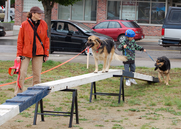 Lise Tataryn and her rescue dog Rudy practice walking the plank as a young boy coaxes his pet into following them during the Just 4 Dogs event. David F. Rooney photo