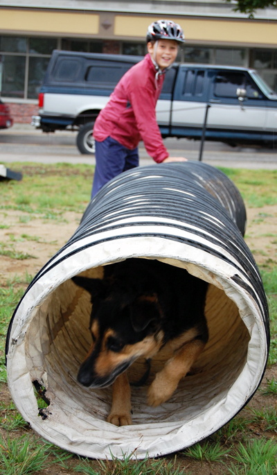 This pet had no trouble making his way through the tunnel on the obstacle course at the Just 4 Dogs event Saturday. David F. Rooney photo