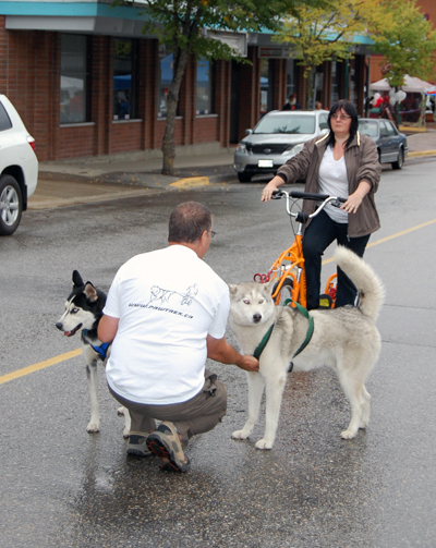 Colin Horkley (foreground) harnesses his dogs to a pawtrekker scooter that his wife, Just 4 Dogs organizer Kathryn, demonstrated. It looks soooo easy: just harness up the mutts, get on the scooter and...(go the next image)