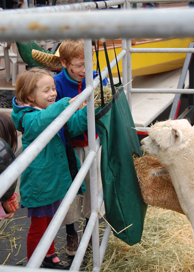 Kids especially liked the wooly natives of the South American Andes. David F. Rooney photo