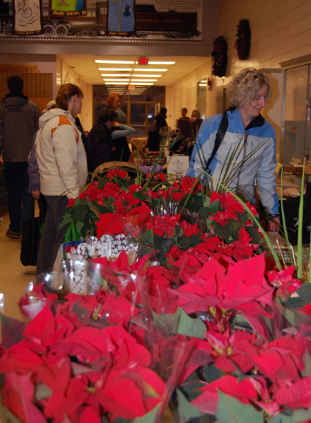 Poinsettias provided a brilliant burst of foreground colour at the Winter Farmers' Market at the Community Centre on Thursday. David F. Rooney photo
