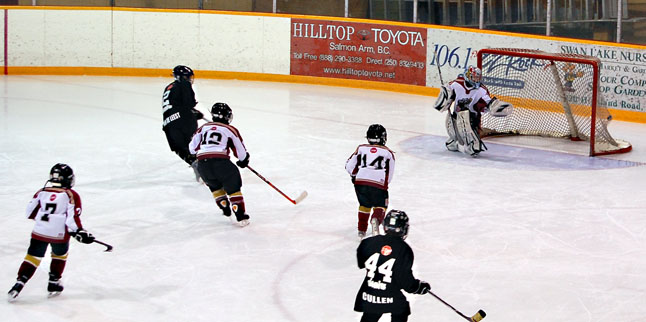 Unfortunately, the goalie couldn't stave off every shot that came his way as you can see here. David F. Rooney photo