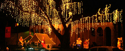 This is a pretty typical Christmastime light display in a tree in Cali, Colombia, where I grew up. As a teenager in the 1960s We loved to visit the city's main park where every tree was lit up. Thousands of people would drive, bus or walk to the park to see the evening light show. I suspect that's where my affinity for lights in trees came from. Photo by Angela Gonzalez courtesy of Colombia Reports