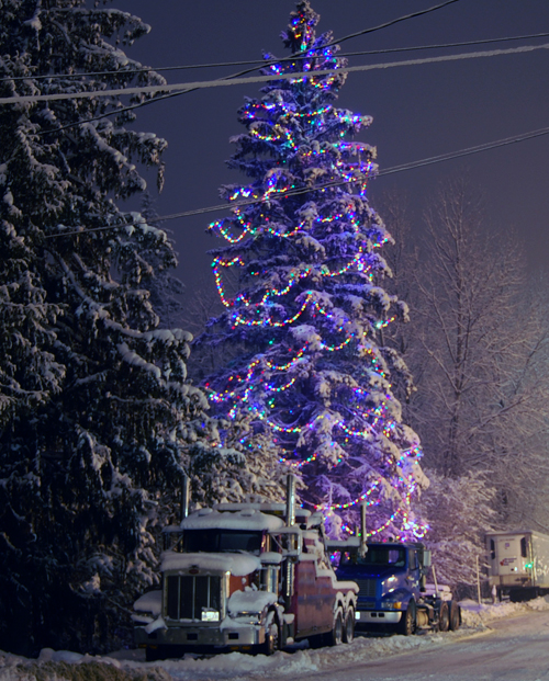 This fabulous tree on Big Eddy Road lights up the neighbourhood. David F. Rooney photo