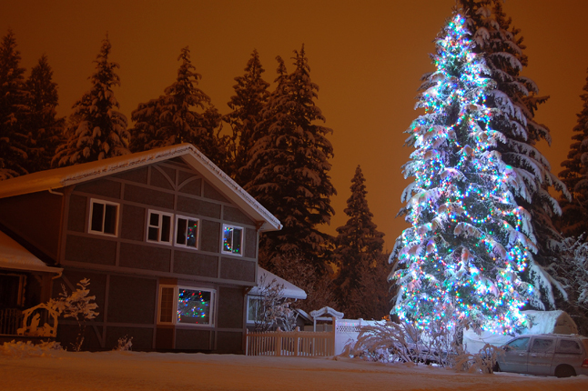 Frank and Lisa Fik's home on Nichol Road boasts this magnificent tree of light.  David F. Rooney photo