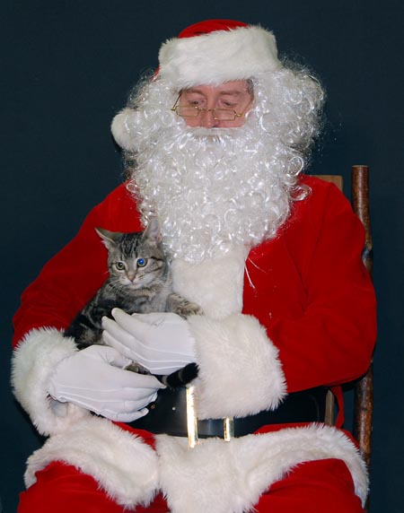 And there was even a little kitty, and a Guinea pig and a love bird. And the one thing they had in common was they were all very nice and well-loved pets. Santa Claus poses with two of top helpers, Lainey Thur and Sammy Legebokow, at the Revelstoke & District Humane Society's annual Pose Your Pet With Santa fundraiser at the Senior's Centre on Saturday. Ninety-five people dropped by with their pets, and their kids, to meet Santa. David F. Rooney photo