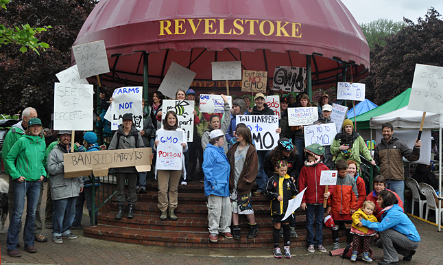 And of course everyone assembled for what is fast becoming a post-demo tradition: a photo of everyone at the gazebo. Revelstoke was just one small cog in a world-wide protest against Monsanto. David F. Rooney photo