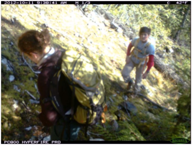 I get my first look at one of the cameras as Parks biologist Kelsey Furk and I clamber up the mountain slope. Trail cam photo courtesy of Parks Canada