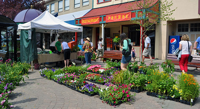Saturday was a perfect spring day and hundreds of people started their day by heading to the Farmer's Market. Some people bought bedding plants from Mayfair Farms while others went for crisp new vegetables at the Wild Flight Farm booth. David F. Rooney photo