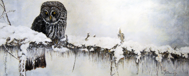 Winter Hunt (Great Grey) By Ron Nixon Mixed Media