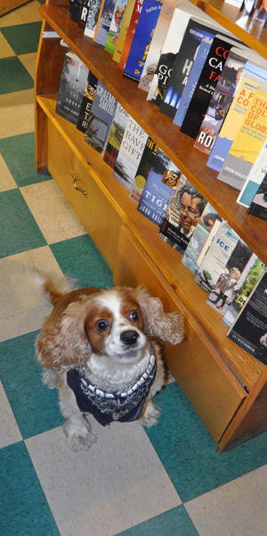 The only person in costume at Grizzly Books was Miss marley! David F. Rooney photo