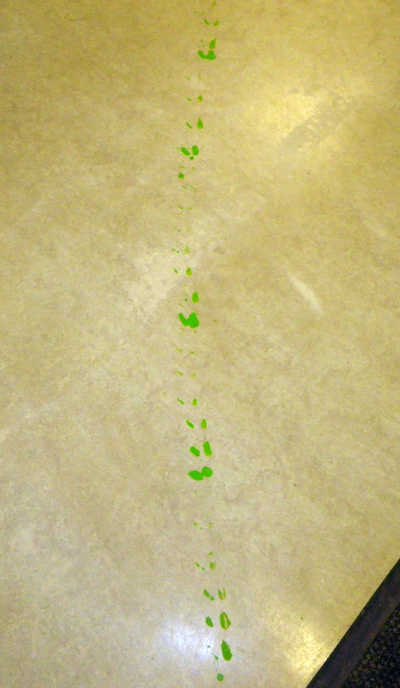 These teeny, tiny footprints were the Kindergarten children's first clue that their class had been visited by one of the mysterious Faerie Folk. Melinda Brown photo courtesy of CPE Principal Ariel McDowell