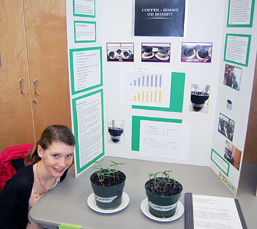 Jaclyn Elliott's project clearly demonstrated that while coffee is made with water, you may not want to pour it on growing plants. The pot on the left contains healthy plants fed only water while the young plants in the pot on the right are stunted and unhealthy — even poisoned. David F. Rooney photo
