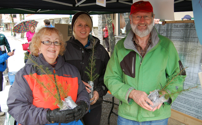 Shelby Harvey (left), Chelsea Hesse and Brian Sumner had plantable saplings on offer at the BC Forestry Museum tent.  The museum will be open with new projects and exhibits planned for this summer. David F. Rooney photo