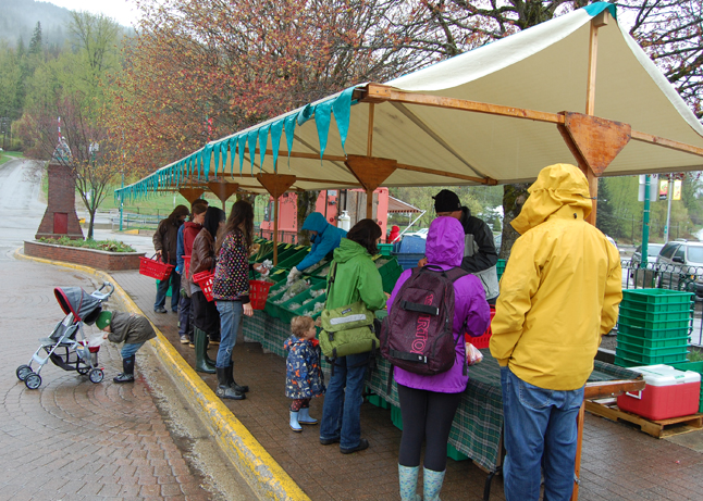 Rain and cold may have kept most people away from the first market of the year but there were stalwarts who braved the near-freezing temperatures to get the organic vegetables they crave from Herman Bruns' Wild Flight Farms stand. See that space just beyond the end of Herman's stand? That's where Kurt's Sausage stand used to be. Now it's empty and a lot of people in town resent that unwanted change. David V. Rooney photo