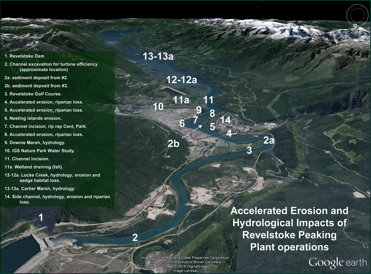 This Google Earth image from a report by Francis Maltby on Rev 6 outlines his view of accelerated erosion and hydrological impacts from peak operations at the Revelstoke generating station. Image courtesy of Francis Maltby