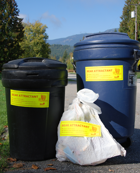 Failure to lock up your garbage could results in a fine from the Conservation Officer Service, says Bear Aware Coordinator Sue Davies. Photo courtesy of Revelstoke Bear Aware