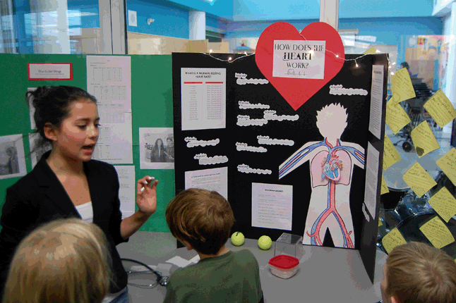 Aza Dechamps' display explored the way the multi-chambered human heart functions. David F. Rooney photo