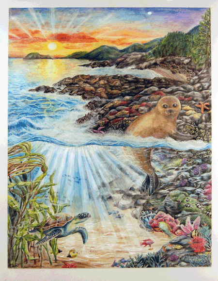 Ocean Vista By Maxine Opatril Coloured Pencil
