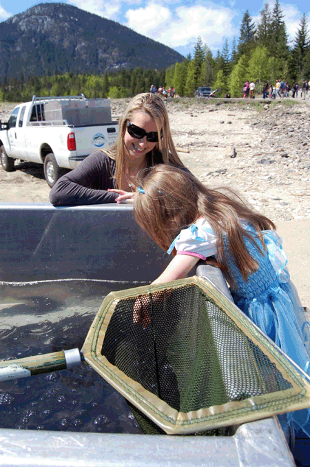 SHELTER BAY — Many children enjoyed watching the young sturgeon swimming in the tank where they were held pending their release. David F. Rooney photo