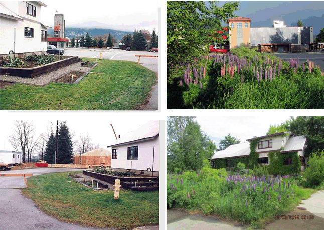 These four photos show the evolution of Francis Malty's garden before and after its colonization of the City-owned right of way along the curving paved path that is actually the end of Boyle Avenue. Neighbours have complained about the overgrown vegetation on the right of way and the City, who hands are bound by its complaint-driven bylaw enforcement process, is now about to go and mow the offending growth. Photos courtesy of Francis Maltby