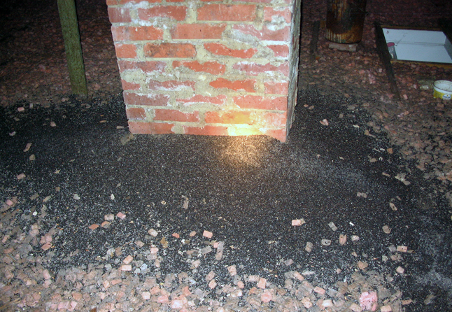 Accumulation of guano (bat droppings) around a chimney in an attic can be cleaned annually to reduce smell. Photo courtesy of the Kootenay Community Bat Project