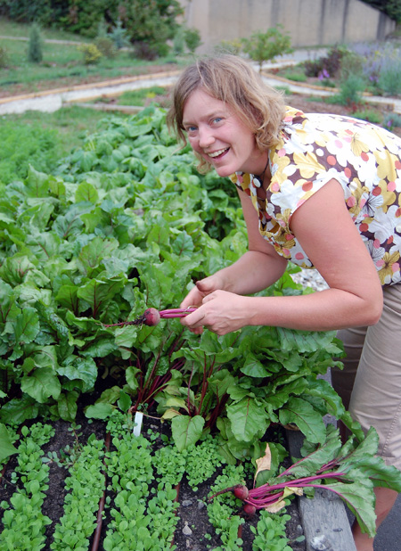 Professional gardener Nadia Luckau gathers young beets at the garden. The Community Garden has different varieties of beans, lettuce, beets, tomatoes, carrots and buckwheat growing in its beds. David F. Rooney photo