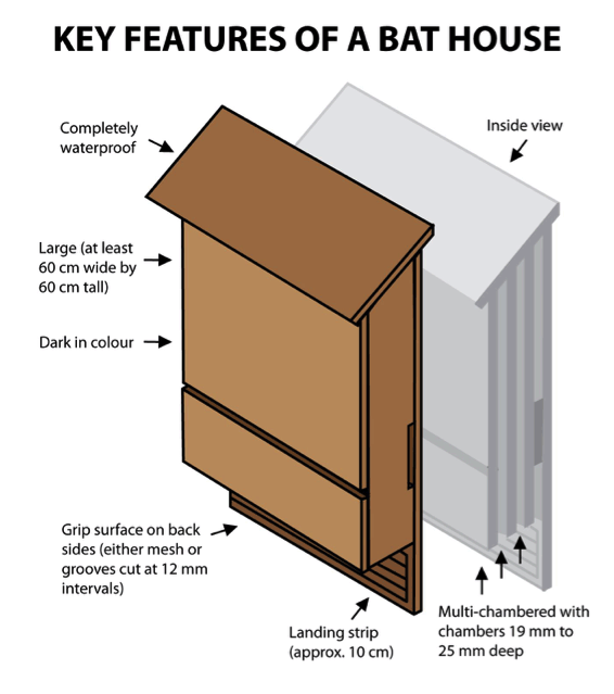 For more details on bat house construction please contact the Kootenay Community Bat Project by e-mail at kootenaybats@gmail.com or by phone at 1-855-9BC-BATS. You can also click on this image to visit the project's website at www.kootenaybats.com.