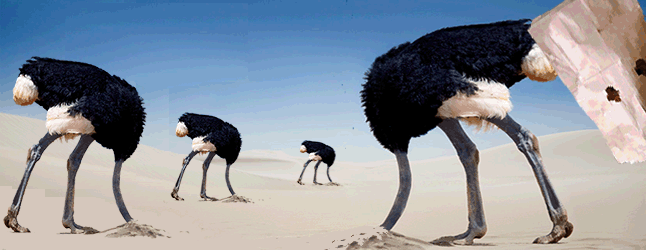 Are you a Big Eddy ostrich? Did you stick your head in the sand when told you must have a new water system and why you need it? Revelstoke Current Photoshop illustration