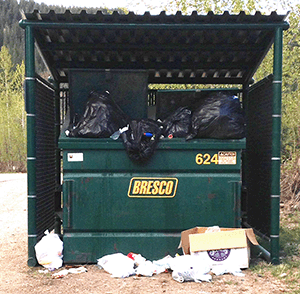 This Johnson Heights sighting appeared to be a case of a bear’s inferred presence at one of the community’s bear-proof waste containers when one of the residents apparently failed to close the container’s lid, thereby allowing the bruin to rifle through its contents. Bear Aware photo