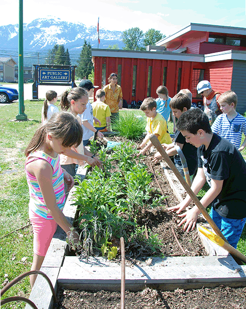 During a tour of the Community Garen at the Visual Arts Centre, students also learned about all aspects of the garden: raised vegetable beds, food forests and composting and watering systems. After the tour, the students rolled up their sleeves to weed and prep the beds so they could plant strawberry plants and herbs. Photo courtesy of Wildsight