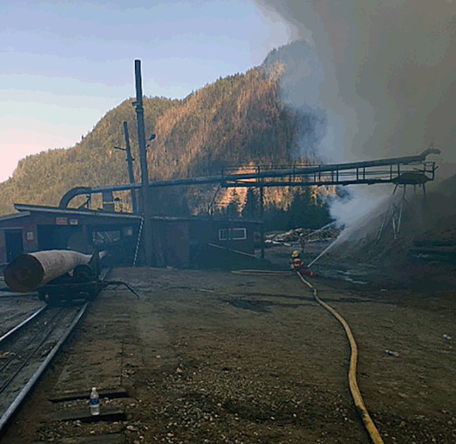 A fast response to a 91 call about a brush fire at 1200 Pole Yard Road prevented a much worse conflagration from occurring. Photo courtesy of the Revelstoke Fire Rescue Service