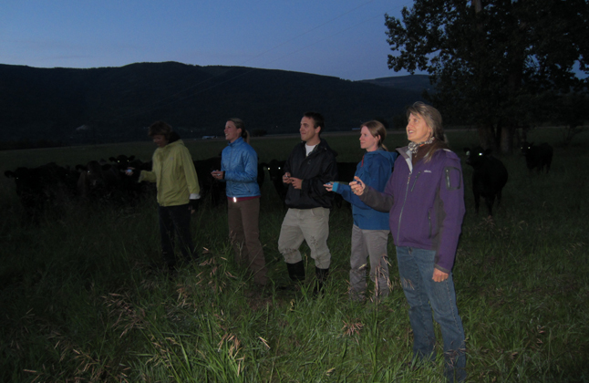 The Kootenay Community Bat Project (KCBP) is seeking volunteers for the annual BC Bat Count. This citizen-science initiative encourages residents to count bats at local roost sites. Juliet Craig photo