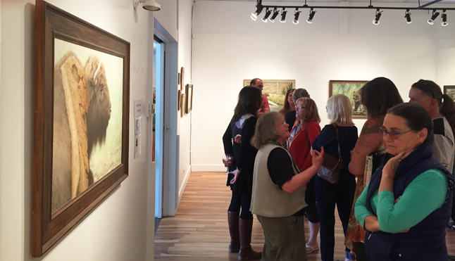 Donna Edwards contemplates the power of the bison conveyed on canvas by Valerie Rogers. David F. Rooney photo