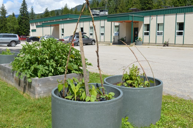Classes at Columbia Park Elementary started gardening last year. This year they incorporated beekeeping to help pollinate their garden and they experimented with vermicompost.
