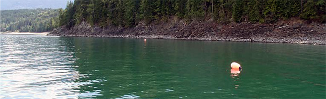 Okanagan Nation Alliance biologists are monitoring juvenile White Sturgeon in the Upper Arrow Lakes portion of the Arrow Lakes Reservoir. The monitoring program includes the use of gill nets and set lines to target juvenile White Sturgeon; the nets are marked with two large orange buoys. The scientists ask that you not disturb these buoys, as they are markers they rely on for the locations of equipment. Photo courtesy of the Okanagan Nation Alliance