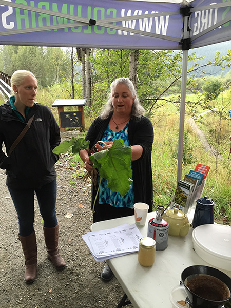 Sue Davies (center), local representative of the Invasive Species Council of BC, explains how you can roast burdock roots and make a really delicious snack out of the common weed during an edible invasives session held in conjunction with the Columbia Shuswap Invasive Species Society and the North Columbia Environmental Society at the pedestrian bridge over the Illecillewaet River on Wednesday, September 7. David F. Rooney photo