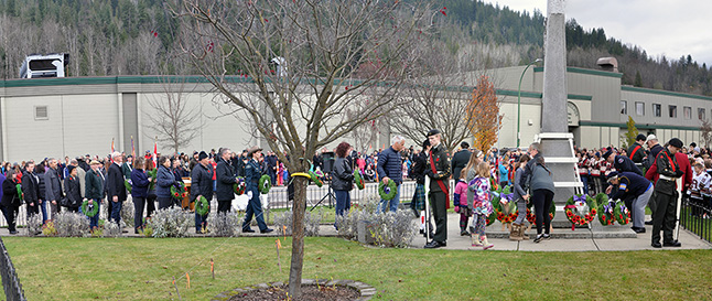 A long line of people pay their respects to Canada's war dead. David F. Rooney photo